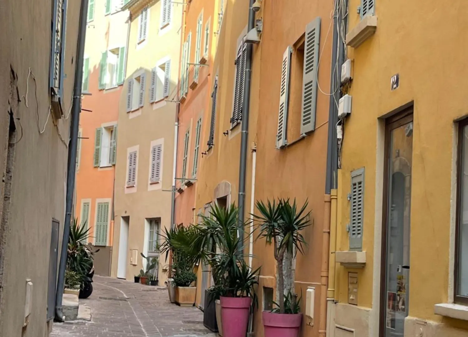 Apartment Le Palmae, Serenite Et Charme En Coeur De Ville